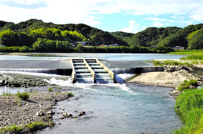 大井堰魚道